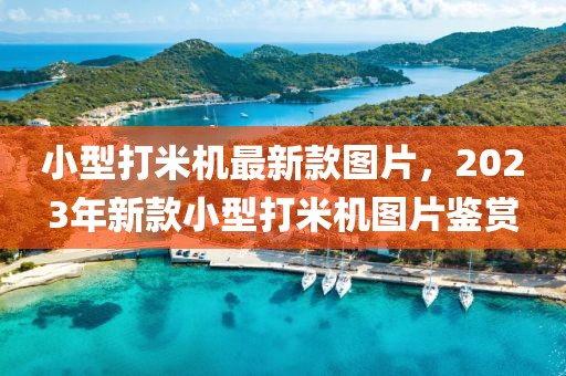 小型打米機(jī)最新款圖片，2023年新款小型打米機(jī)圖片鑒賞