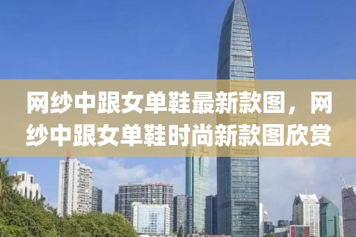網(wǎng)紗中跟女單鞋最新款圖，網(wǎng)紗中跟女單鞋時尚新款圖欣賞