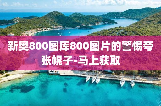 新奧800圖庫800圖片的警惕夸張幌子-馬上獲取