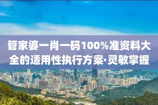 管家婆一肖一碼100%準資料大全的適用性執(zhí)行方案·靈敏掌握