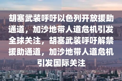 胡塞武裝呼吁以色列開放援助通道，加沙地帶人道危機(jī)引發(fā)全球關(guān)注，胡塞武裝呼吁解禁援助通道，加沙地帶人道危機(jī)引發(fā)國(guó)際關(guān)注
