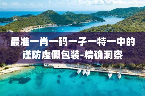 最準(zhǔn)一肖一碼一孑一特一中的謹(jǐn)防虛假包裝-精確洞察