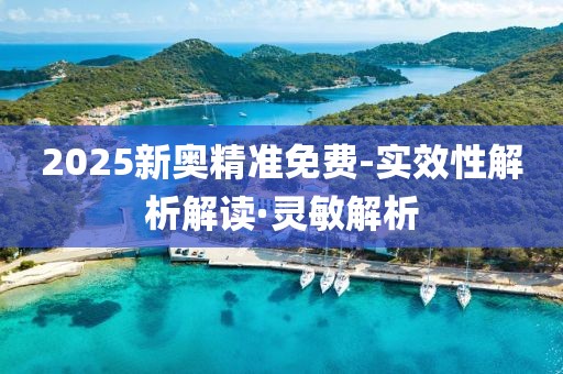 2025新奧精準(zhǔn)免費-實效性解析解讀·靈敏解析