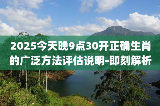 2025今天晚9點30開正確生肖的廣泛方法評估說明-即刻解析
