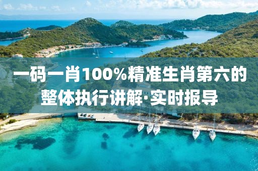 一碼一肖100%精準(zhǔn)生肖第六的整體執(zhí)行講解·實時報導(dǎo)