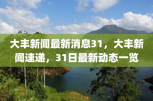 大豐新聞最新消息31，大豐新聞速遞，31日最新動態(tài)一覽