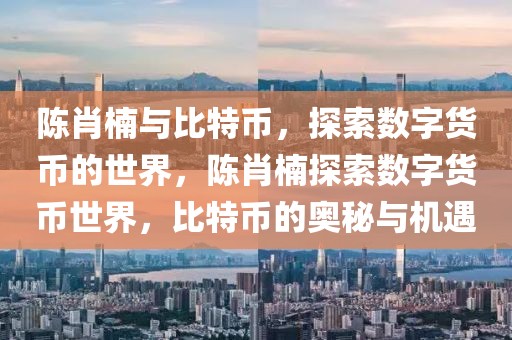 陳肖楠與比特幣，探索數(shù)字貨幣的世界，陳肖楠探索數(shù)字貨幣世界，比特幣的奧秘與機遇