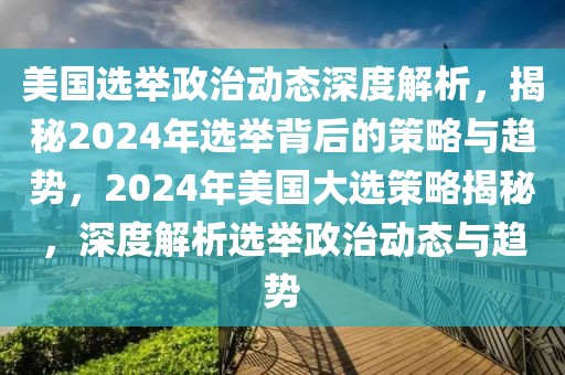 美國選舉政治動態(tài)深度解析，揭秘2024年選舉背后的策略與趨勢，2024年美國大選策略揭秘，深度解析選舉政治動態(tài)與趨勢