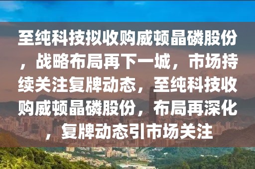 至純科技擬收購?fù)D晶磷股份，戰(zhàn)略布局再下一城，市場(chǎng)持續(xù)關(guān)注復(fù)牌動(dòng)態(tài)，至純科技收購?fù)D晶磷股份，布局再深化，復(fù)牌動(dòng)態(tài)引市場(chǎng)關(guān)注