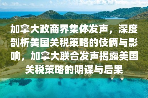 加拿大政商界集體發(fā)聲，深度剖析美國關稅策略的伎倆與影響，加拿大聯(lián)合發(fā)聲揭露美國關稅策略的陰謀與后果