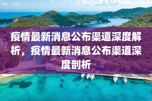疫情最新消息公布渠道深度解析，疫情最新消息公布渠道深度剖析