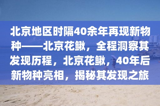 chenxinyao 第21頁