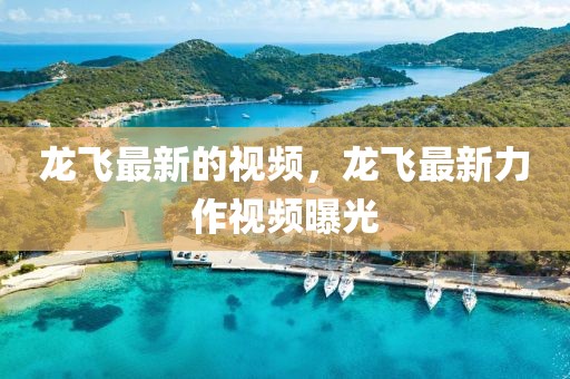 龍飛最新的視頻，龍飛最新力作視頻曝光