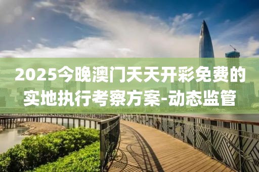 2025今晚澳門天天開彩免費的實地執(zhí)行考察方案-動態(tài)監(jiān)管