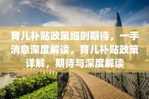 育兒補貼政策細則期待，一手消息深度解讀，育兒補貼政策詳解，期待與深度解讀