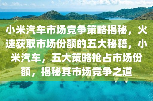 小米汽車(chē)市場(chǎng)競(jìng)爭(zhēng)策略揭秘，火速獲取市場(chǎng)份額的五大秘籍，小米汽車(chē)，五大策略搶占市場(chǎng)份額，揭秘其市場(chǎng)競(jìng)爭(zhēng)之道