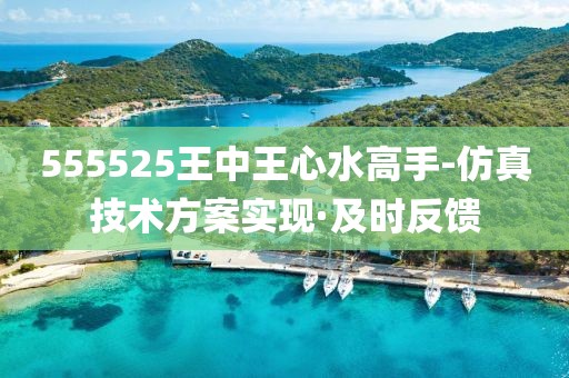 555525王中王心水高手-仿真技術(shù)方案實(shí)現(xiàn)·及時(shí)反饋