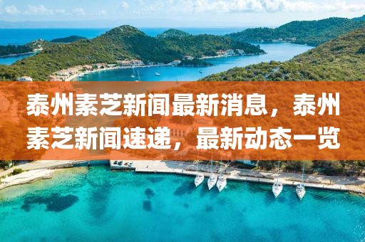 泰州素芝新聞最新消息，泰州素芝新聞速遞，最新動態(tài)一覽