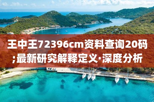 王中王72396cm資料查詢20碼;最新研究解釋定義·深度分析