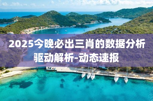 2025今晚必出三肖的數(shù)據(jù)分析驅(qū)動解析-動態(tài)速報