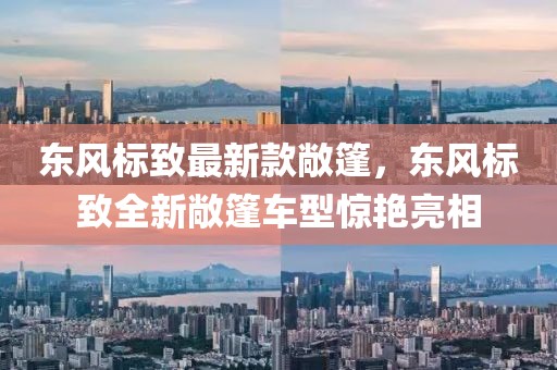 liwenzhen 第15頁