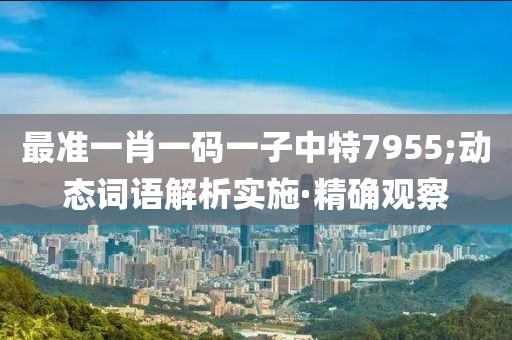 最準(zhǔn)一肖一碼一子中特7955;動(dòng)態(tài)詞語解析實(shí)施·精確觀察