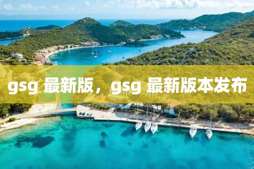 gsg 最新版，gsg 最新版本發(fā)布