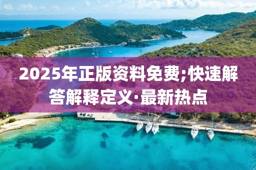 2025年正版資料免費;快速解答解釋定義·最新熱點