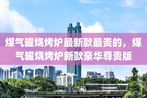 煤氣罐燒烤爐最新款最貴的，煤氣罐燒烤爐新款豪華尊貴版