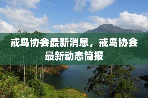戒鳥協(xié)會最新消息，戒鳥協(xié)會最新動態(tài)簡報