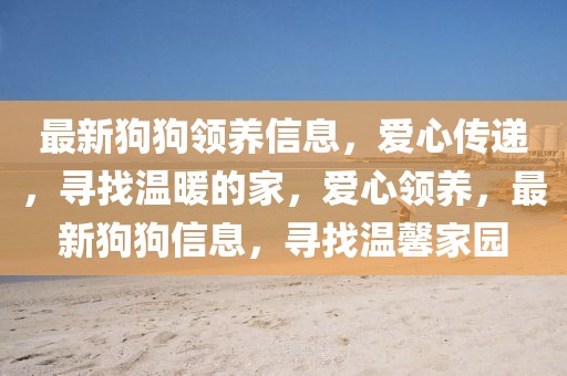 最新狗狗領(lǐng)養(yǎng)信息，愛(ài)心傳遞，尋找溫暖的家，愛(ài)心領(lǐng)養(yǎng)，最新狗狗信息，尋找溫馨家園