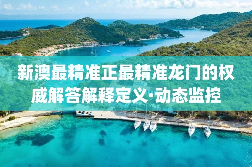 新澳最精準正最精準龍門的權威解答解釋定義·動態(tài)監(jiān)控