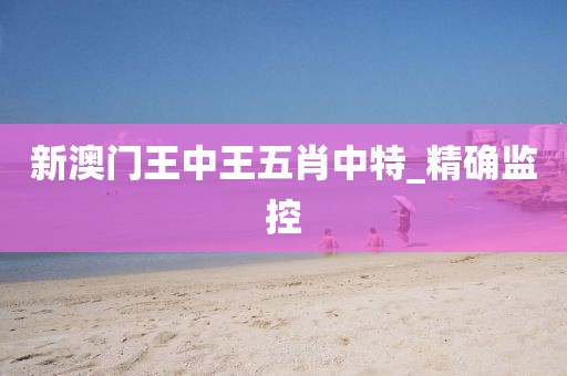 新澳門王中王五肖中特_精確監(jiān)控