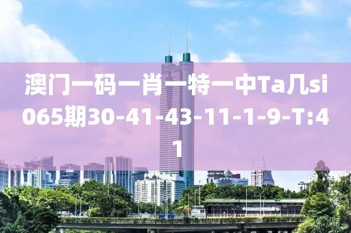 澳門一碼一肖一特一中Ta幾si065期30-41-43-11-1-9-T:41