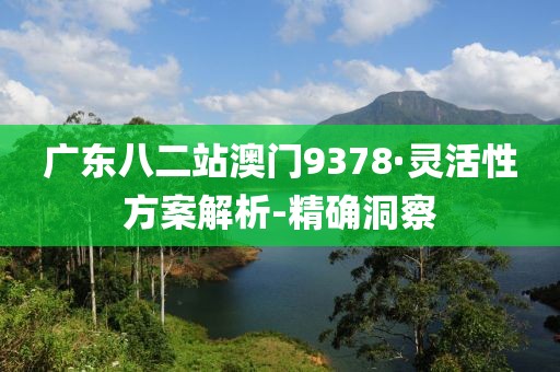 廣東八二站澳門9378·靈活性方案解析-精確洞察