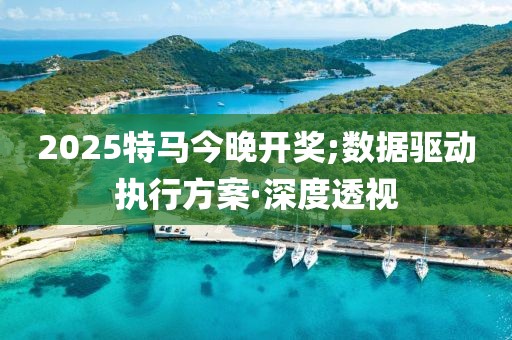 2025特馬今晚開獎;數(shù)據(jù)驅(qū)動執(zhí)行方案·深度透視