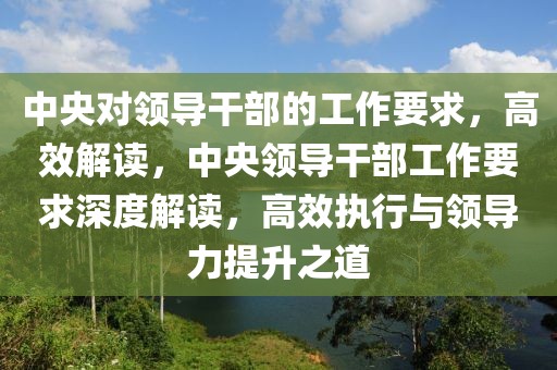 中央對(duì)領(lǐng)導(dǎo)干部的工作要求，高效解讀，中央領(lǐng)導(dǎo)干部工作要求深度解讀，高效執(zhí)行與領(lǐng)導(dǎo)力提升之道