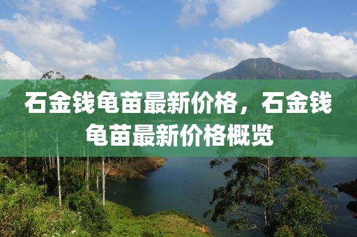 石金錢龜苗最新價格，石金錢龜苗最新價格概覽