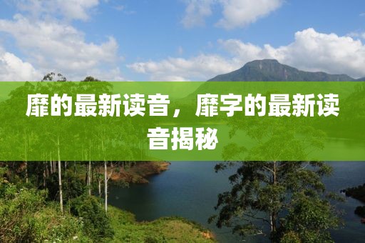 靡的最新讀音，靡字的最新讀音揭秘