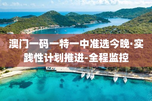 澳門一碼一特一中準選今晚·實踐性計劃推進-全程監(jiān)控