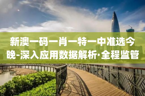 新澳一碼一肖一特一中準(zhǔn)選今晚-深入應(yīng)用數(shù)據(jù)解析·全程監(jiān)管