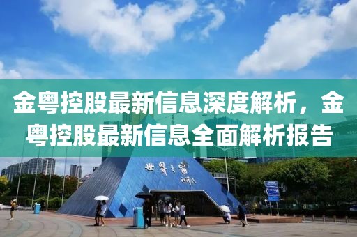 金粵控股最新信息深度解析，金粵控股最新信息全面解析報告