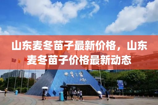 山東麥冬苗子最新價格，山東麥冬苗子價格最新動態(tài)