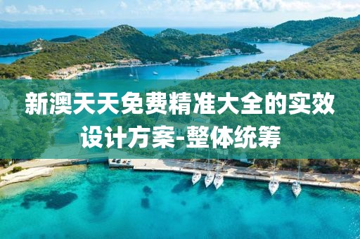 新澳天天免費(fèi)精準(zhǔn)大全的實(shí)效設(shè)計(jì)方案-整體統(tǒng)籌