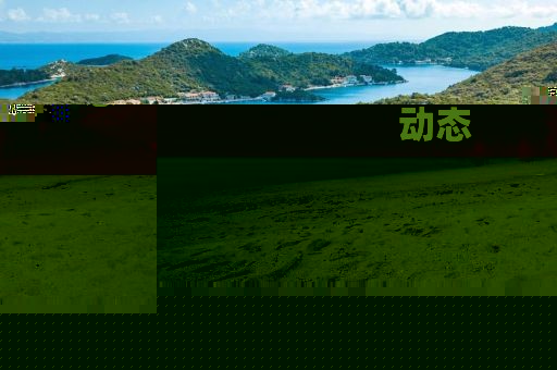最新消息封城，最新封城消息動態(tài)