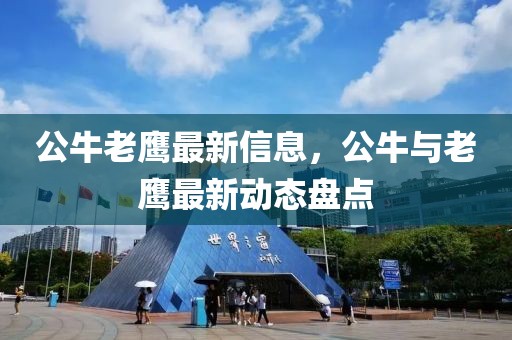 公牛老鷹最新信息，公牛與老鷹最新動(dòng)態(tài)盤點(diǎn)