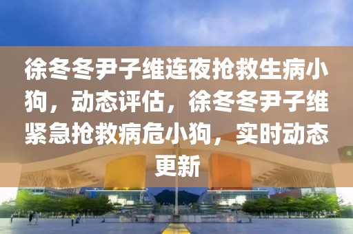 徐冬冬尹子維連夜搶救生病小狗，動態(tài)評估，徐冬冬尹子維緊急搶救病危小狗，實時動態(tài)更新