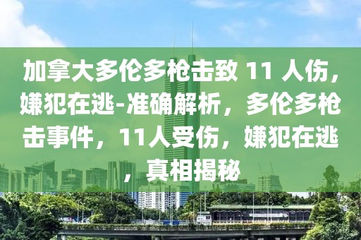 加拿大多倫多槍擊致 11 人傷，嫌犯在逃-準(zhǔn)確解析，多倫多槍擊事件，11人受傷，嫌犯在逃，真相揭秘