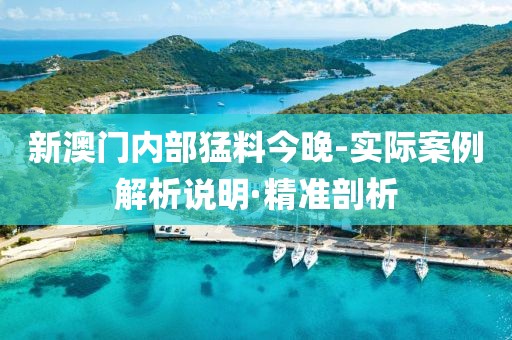 新澳門內(nèi)部猛料今晚-實(shí)際案例解析說(shuō)明·精準(zhǔn)剖析