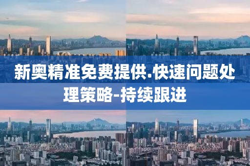新奧精準免費提供.快速問題處理策略-持續(xù)跟進